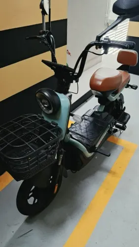 Bicicleta elétrica autopropelida