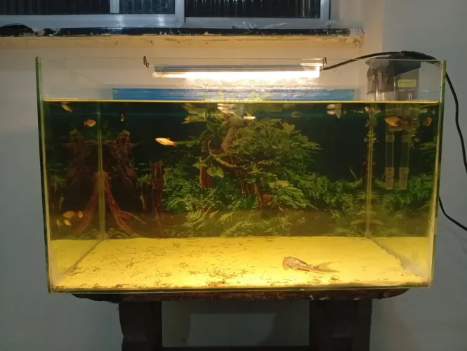 Aquário completo com bomba filtro de oxigênio