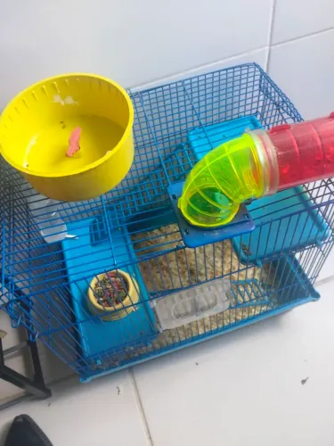Gaiola para hamster 