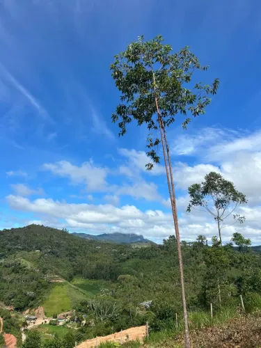 Terreno região de pedra azul