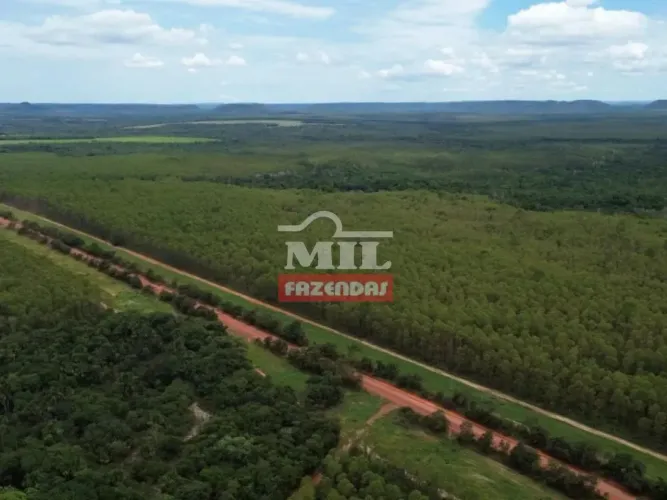 Fazenda 1.678 alqueires (8.124 hectares) Goiatins - TO