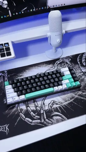 Razer Reclusa X Mini - Razer (@todd_geek)