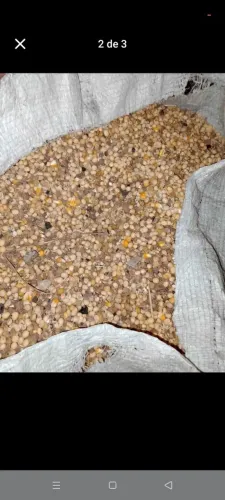 Soja misturada