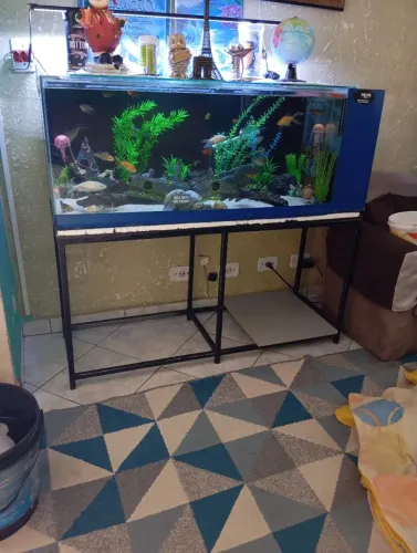 Vendo aquário ornamental completo