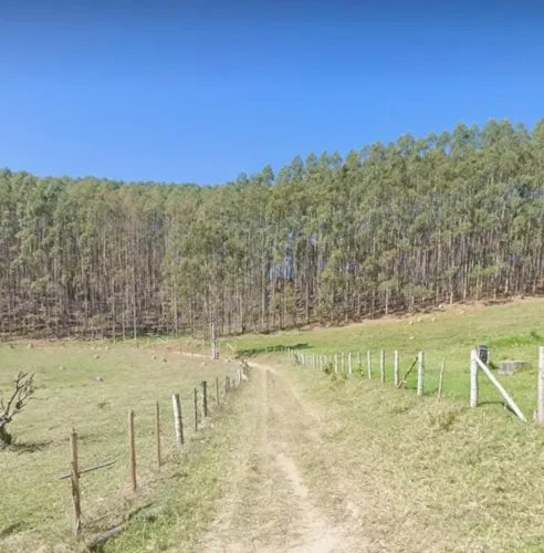 *FLORESTA DE EUCALIPTO A VENDA EM PARAÍBUNA NA REGIÃO DO VALE DO PARAÍBA* ?? ÁREA TOTAL CO