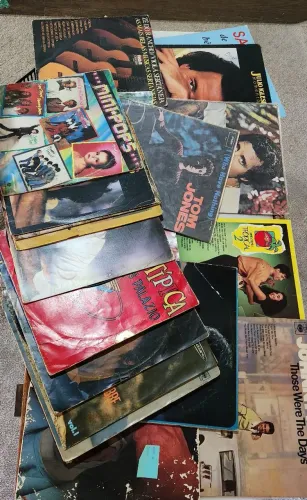 Lote 25 Discos de vinil variados lp