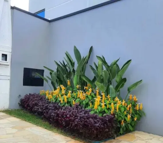 Montagem e manutenção de jardins 