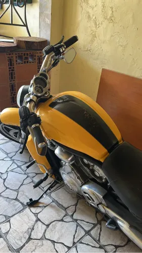 V-Rod Muscle 2012