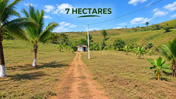 Vendo sítio de 7 hectare em água preta aceito caminhonete como parte do valor .