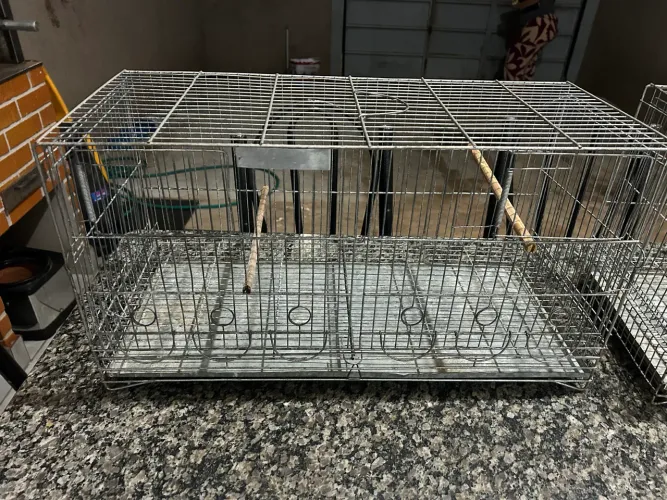 2 Gaiolas voadeira para canário