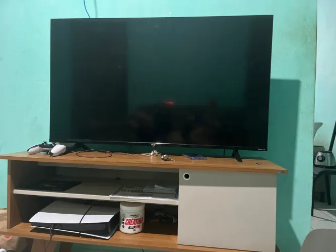 Tv Philco 50 polegadas acompanhando já do raque