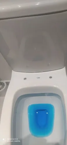 Vaso sanitário novo cellite