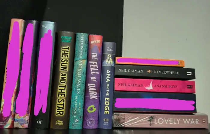 [LOTE] Sebo/Desapego Livros em Inglês Capa Dura/Brochura [Leia a descrição]