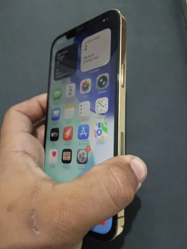 iPhone 12 pro max