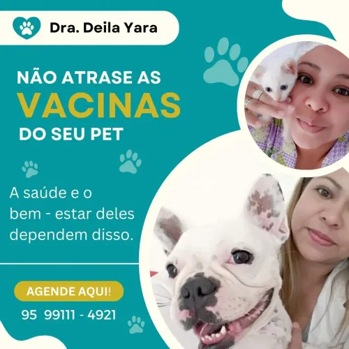 Médica Veterinária em domicílio. 