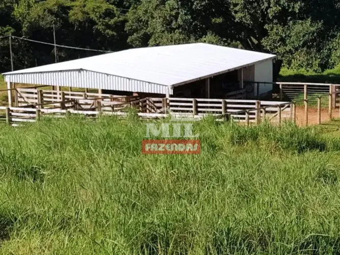 Fazenda 26,3 alqueires (127,2 hectares) Bom Jardim De Goiás - Go