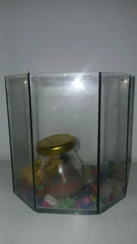 Aquário pequeno decorado