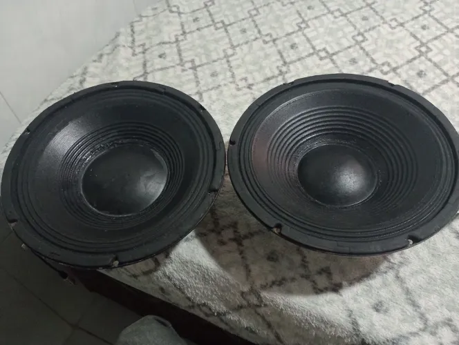 Médio grave 12 polegadas 350 watts 8 ohms