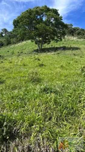 Fazenda para Venda em Reserva, rural, 3 dormitórios, 1 banheiro, 3 vagas