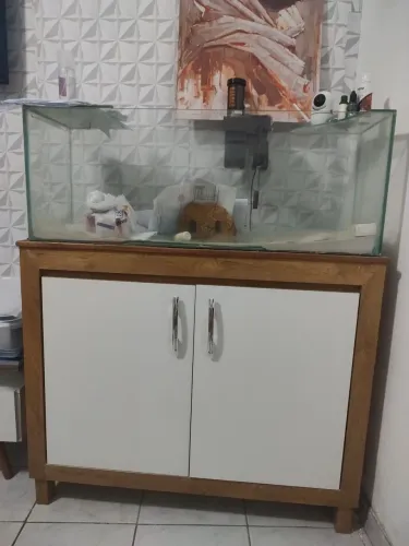 Aquário completo 100 litros