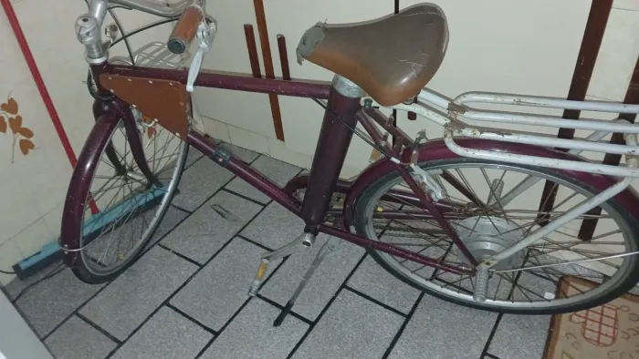 Bicicleta