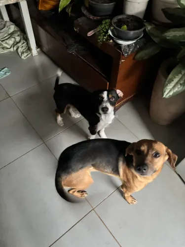DOAÇÃO
