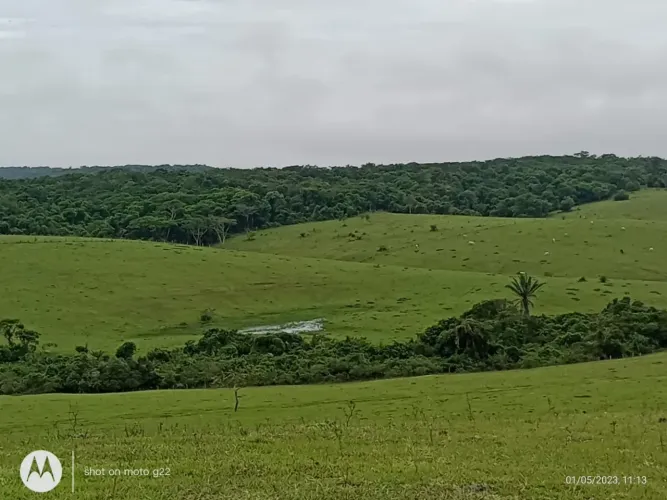 Fazenda/Sítio/Chácara para venda PERMUTA com 1.300.000 m² em Cabiúnas - Macaé - RJ
