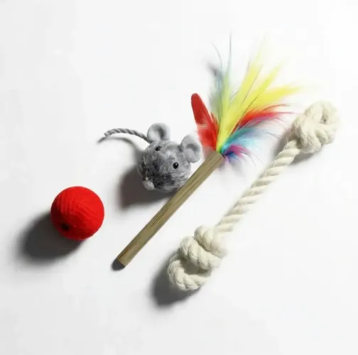 Kit Brinquedos Gato Filhote - 4 Peças Interativas | JP