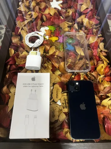 iPhone 13 Todo Original 