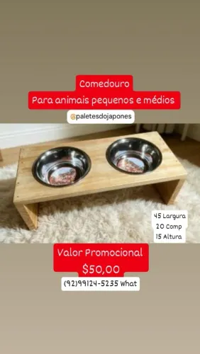 Comedouro cão e gato 
