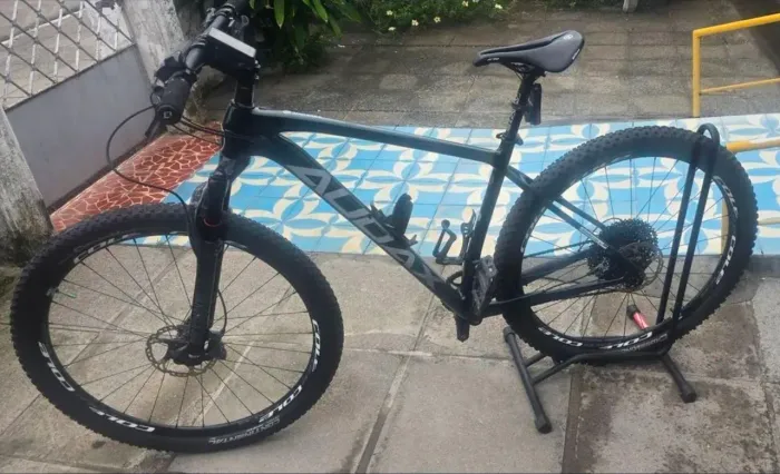 Audax Auge 555 Carbono