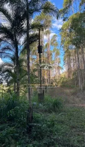 Terreno à venda com nascente, 12 hectares - Recreio, Santa Maria de Jetibá - ES