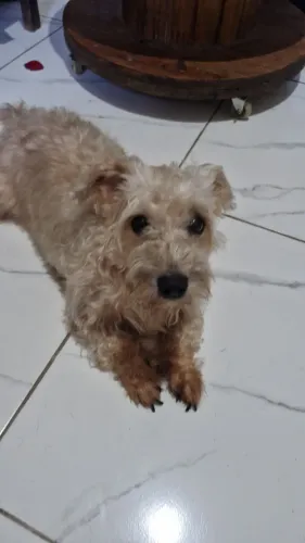 Namorada para o billy