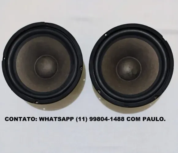 Par de Alto Falantes NWX-8010. 8 Polegadas/4 Ohms/150 Watts (Usado) - Super Pesados.