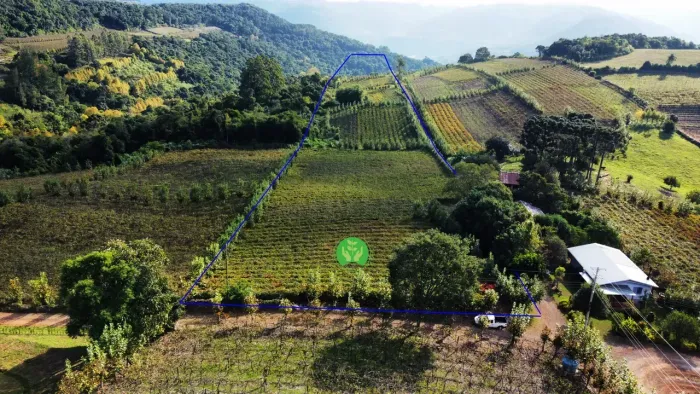 Imóvel para venda com 60000 metros quadrados em Zona Rural - Santa Tereza - RS