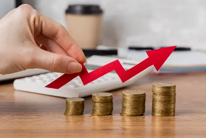 Consultoria Financeira e Análise de Negócios