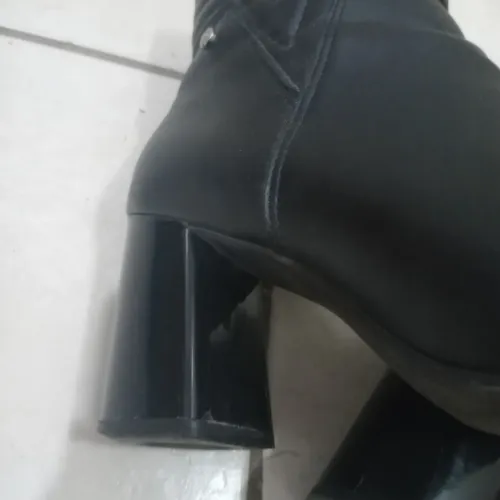 Bota