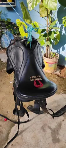 Vendo cela mangalarga, usada poucas vezes.