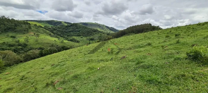 Sítio - 30 alqueires em Itapeva - MG.