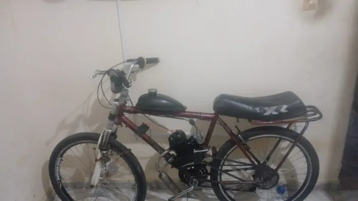 Bicicleta motorizada