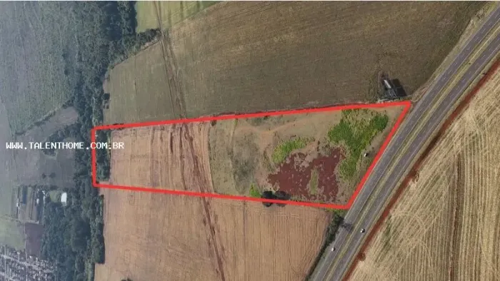 Terreno para Venda em Rolândia, RURAL