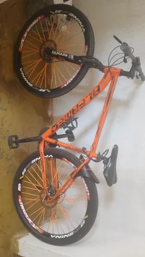 BIKE ARO 29
