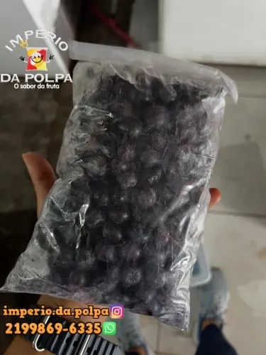 Polpas de frutas e frutas congeladas 