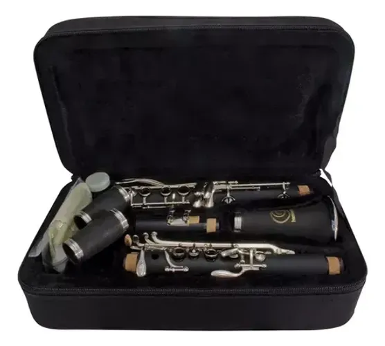 Clarinete 17 Chaves Harmonics NOVO c/ NF - Parcelo no Cartão - Envio Todo Brasil - OLX PAY