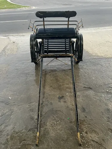 Charrete Carroça de pônei 