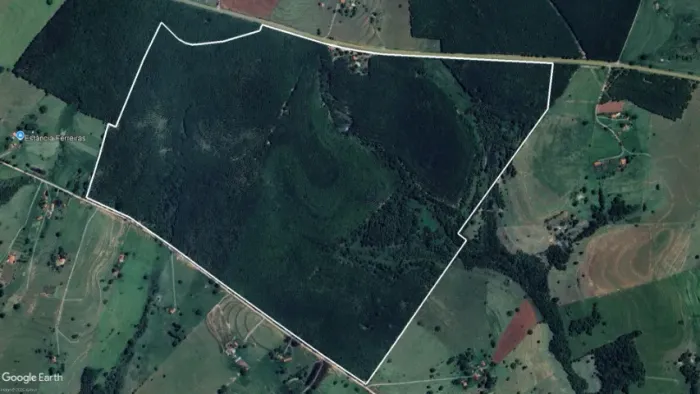 Fazenda de 66 alqueires Seringa Auriflama