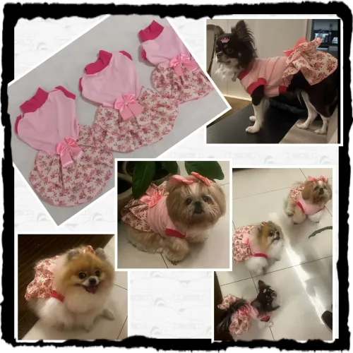 Roupa para cachorro , vestido