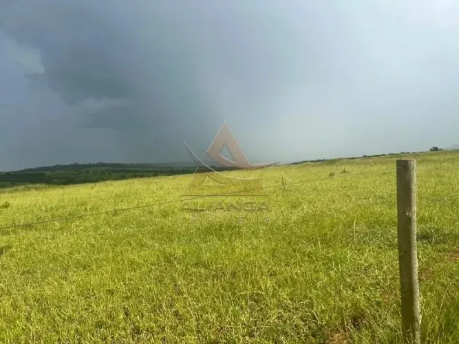 Fazenda - Prata - Zona Rural
