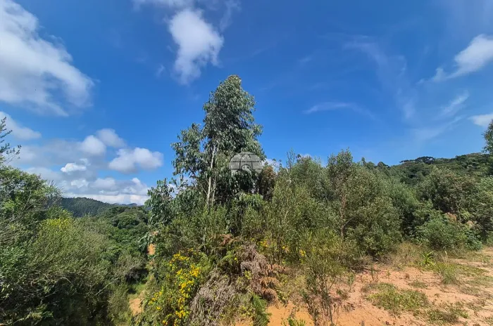 Vendas Área Bocaiúva Do Sul PR