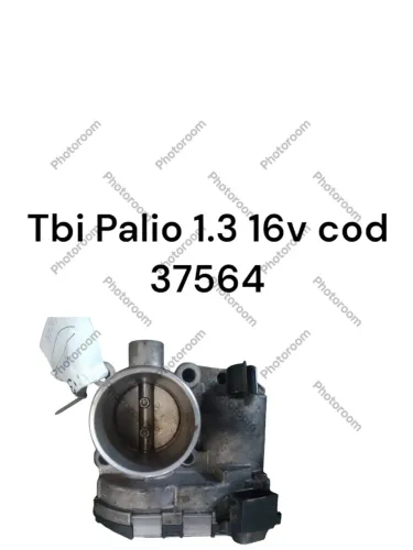 Tbi palio 